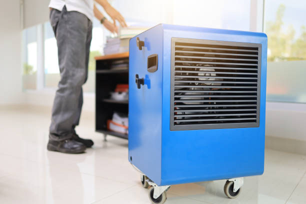 Mold Removal for HVAC Installations in Arcade, GA