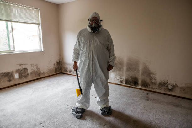 Best Residential Mold Inspection & Testing  in Arcade, GA